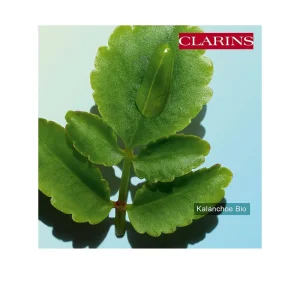 Clarins Total Eye Hydrate Shop