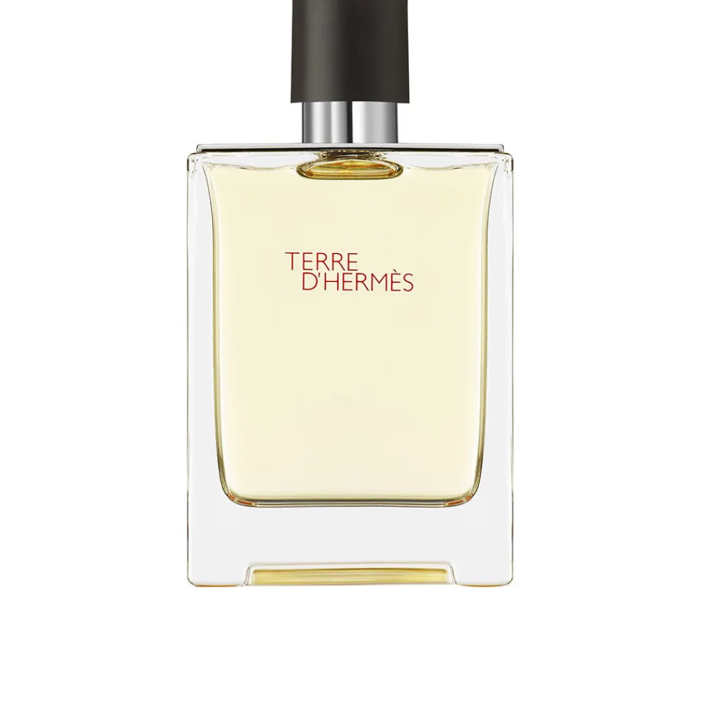 hermes_terre_dhermes_0.webp HERMÈS Hermes Terre D'Hermes Best Sale