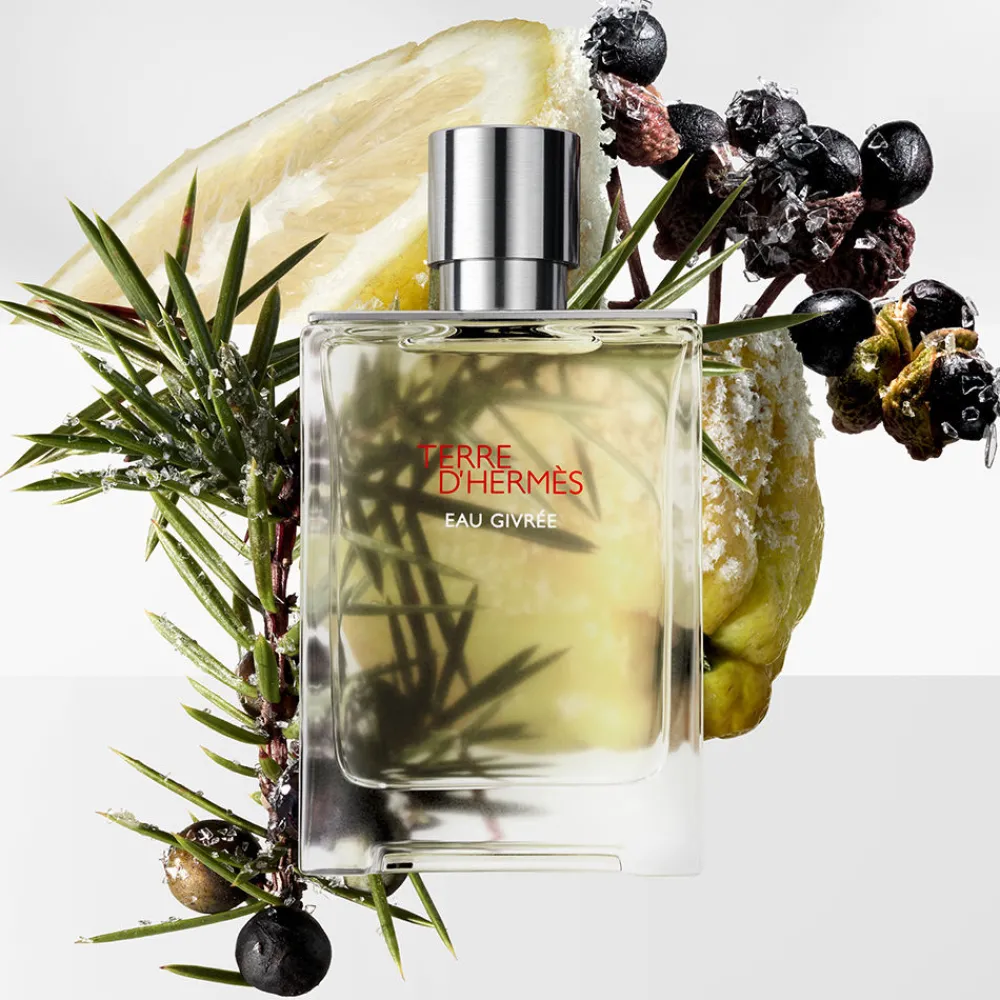 hermes_terre_dhermes_eau__4.webp HERMÈS Hermes Terre D'Hermes Eau Givree Cheap