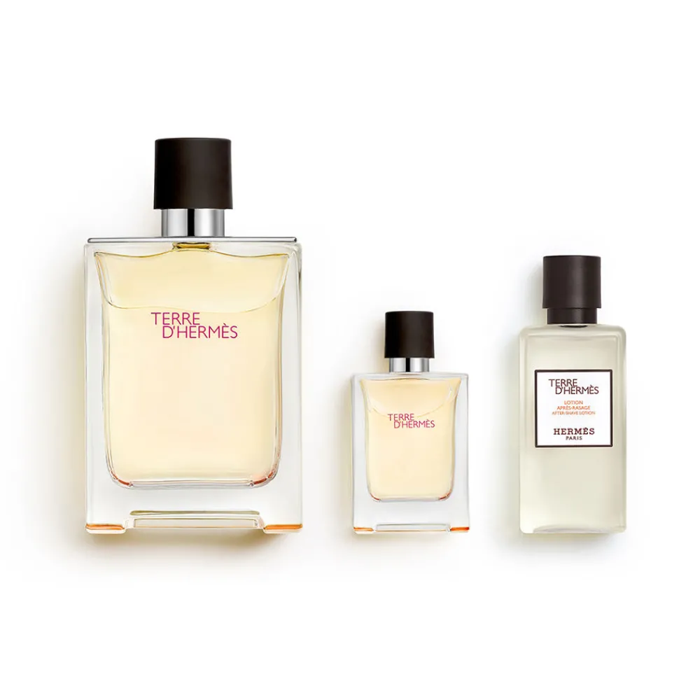 hermes_terre_dhermes_lote_1.webp HERMÈS Hermes Terre D'Hermes Lote Shop