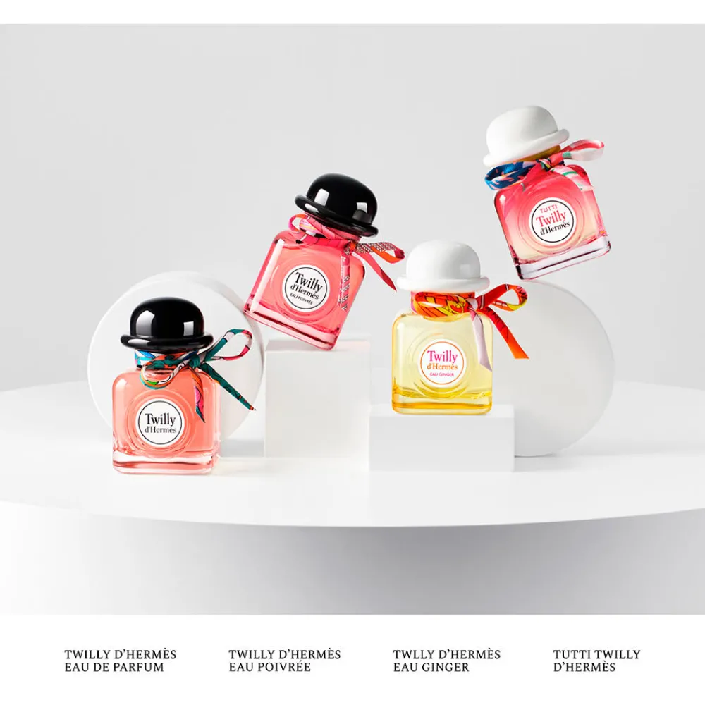 hermes_twilly_dhermes_2.webp HERMÈS Hermes Twilly D'Hermes Best Sale