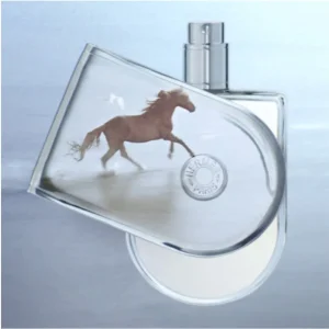 HERMÈS Hermes Voyage D'Hermes Clearance