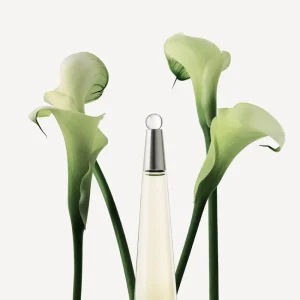 Issey Miyake Agua Issey Lote Sale