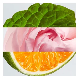 Lacoste Eau De L.12.12 Rose Pour Elle Online