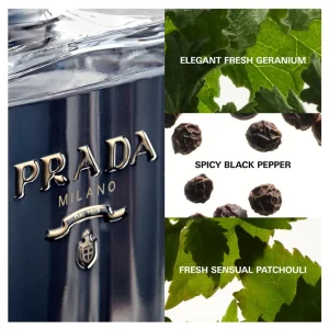Prada L'Homme Shop