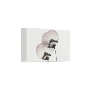 Rituals Homme Small Gift Set Best