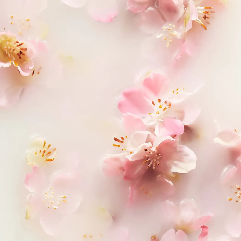 rituals_the_ritual_of_sak_3.webp Rituals The Ritual Of Sakura Conditioner Store