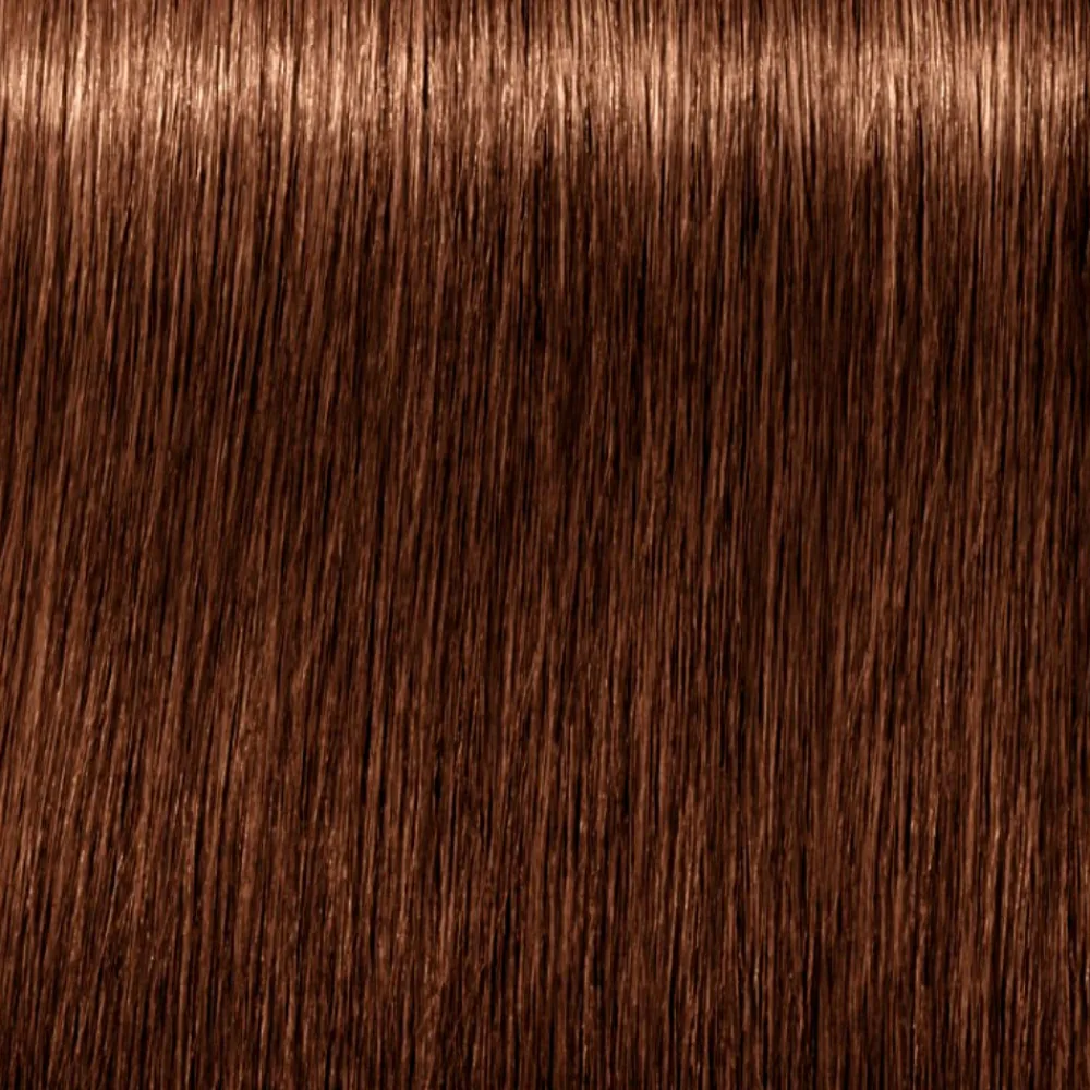 schwarzkopf_igora_royal_a_1-1.webp Schwarzkopf Igora Royal Absolutes Flash Sale