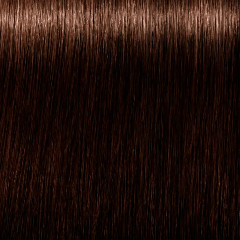 schwarzkopf_igora_royal_a_4.webp Schwarzkopf Igora Royal Absolutes Flash Sale