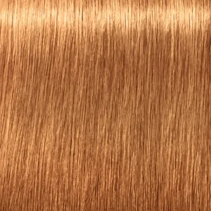 Schwarzkopf Igora Royal Absolutes Flash Sale