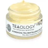 Teaology Kombucha Tea Revitalizing Eye Cream Flash Sale