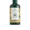 The Body Shop Ginger Shampoo Discount